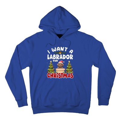 I Want A Labrador For Christmas Labs Mom Dog Lover Christmas Funny Gift Hoodie