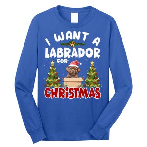 I Want A Labrador For Christmas Labs Mom Dog Lover Christmas Funny Gift Long Sleeve Shirt