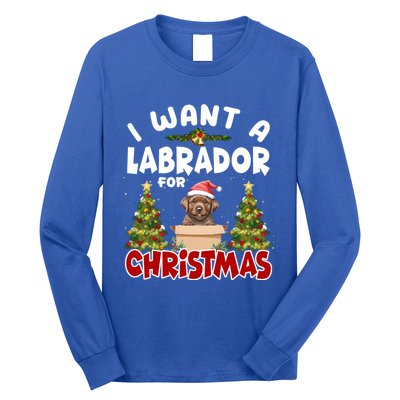 I Want A Labrador For Christmas Labs Mom Dog Lover Christmas Funny Gift Long Sleeve Shirt