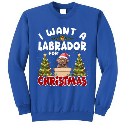 I Want A Labrador For Christmas Labs Mom Dog Lover Christmas Funny Gift Sweatshirt