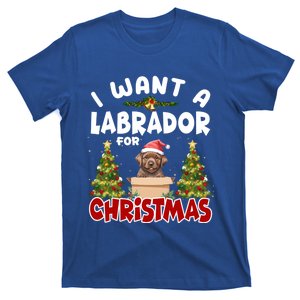 I Want A Labrador For Christmas Labs Mom Dog Lover Christmas Funny Gift T-Shirt