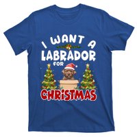 I Want A Labrador For Christmas Labs Mom Dog Lover Christmas Funny Gift T-Shirt