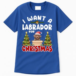 I Want A Labrador For Christmas Labs Mom Dog Lover Christmas Funny Gift Tall T-Shirt