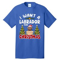 I Want A Labrador For Christmas Labs Mom Dog Lover Christmas Funny Gift Tall T-Shirt