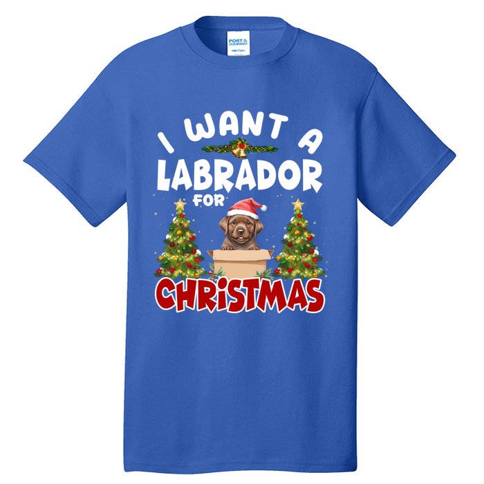 I Want A Labrador For Christmas Labs Mom Dog Lover Christmas Funny Gift Tall T-Shirt