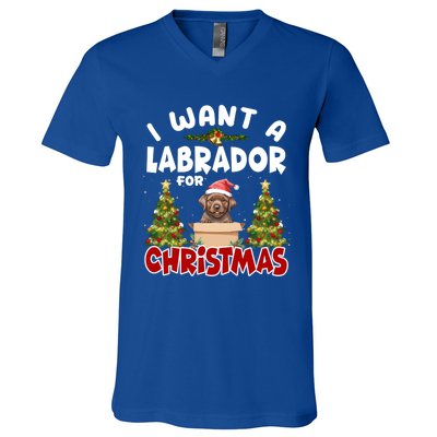 I Want A Labrador For Christmas Labs Mom Dog Lover Christmas Funny Gift V-Neck T-Shirt