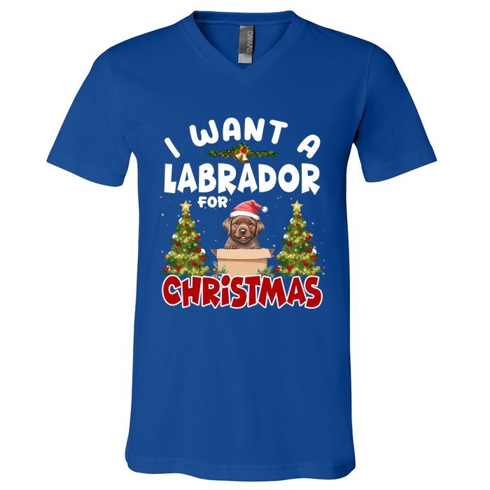 I Want A Labrador For Christmas Labs Mom Dog Lover Christmas Funny Gift V-Neck T-Shirt