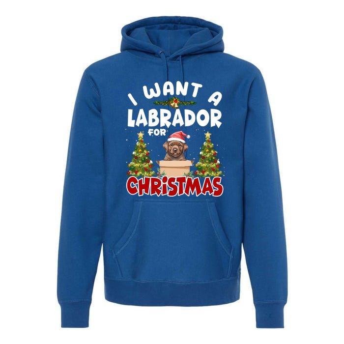 I Want A Labrador For Christmas Labs Mom Dog Lover Christmas Funny Gift Premium Hoodie