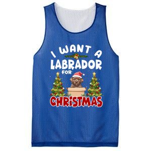 I Want A Labrador For Christmas Labs Mom Dog Lover Christmas Funny Gift Mesh Reversible Basketball Jersey Tank