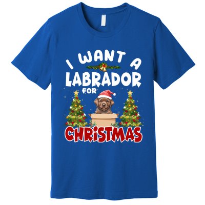 I Want A Labrador For Christmas Labs Mom Dog Lover Christmas Funny Gift Premium T-Shirt