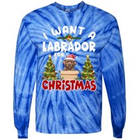 I Want A Labrador For Christmas Labs Mom Dog Lover Christmas Funny Gift Tie-Dye Long Sleeve Shirt