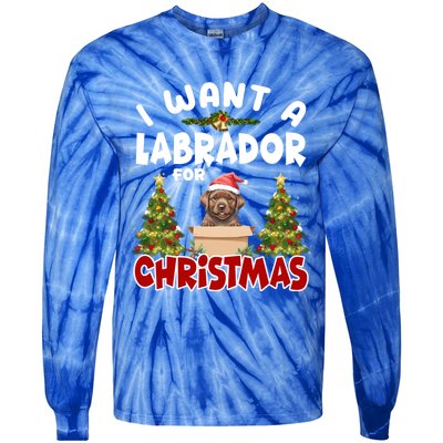 I Want A Labrador For Christmas Labs Mom Dog Lover Christmas Funny Gift Tie-Dye Long Sleeve Shirt