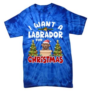 I Want A Labrador For Christmas Labs Mom Dog Lover Christmas Funny Gift Tie-Dye T-Shirt