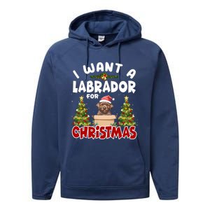 I Want A Labrador For Christmas Labs Mom Dog Lover Christmas Funny Gift Performance Fleece Hoodie