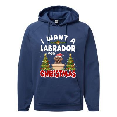 I Want A Labrador For Christmas Labs Mom Dog Lover Christmas Funny Gift Performance Fleece Hoodie