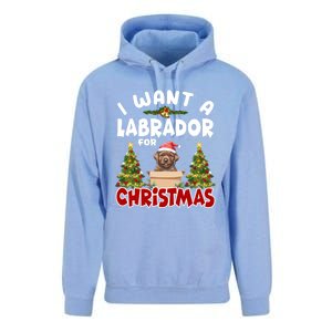 I Want A Labrador For Christmas Labs Mom Dog Lover Christmas Funny Gift Unisex Surf Hoodie