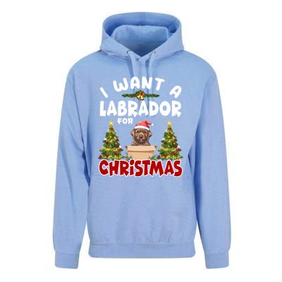 I Want A Labrador For Christmas Labs Mom Dog Lover Christmas Funny Gift Unisex Surf Hoodie