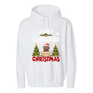 I Want A Labrador For Christmas Labs Mom Dog Lover Christmas Funny Gift Garment-Dyed Fleece Hoodie