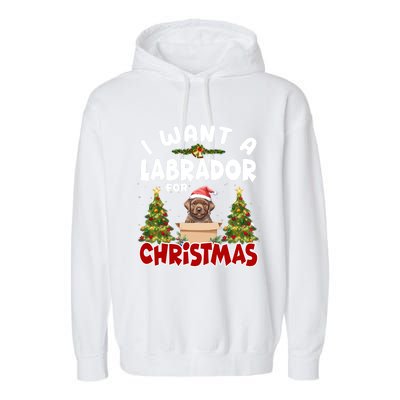 I Want A Labrador For Christmas Labs Mom Dog Lover Christmas Funny Gift Garment-Dyed Fleece Hoodie