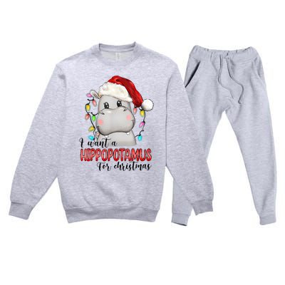 I Want A Hippopotamus For Christmas Xmas Hippo Lover Premium Crewneck Sweatsuit Set