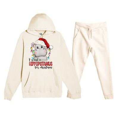 I Want A Hippopotamus For Christmas Xmas Hippo Lover Premium Hooded Sweatsuit Set