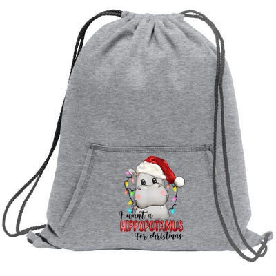 I Want A Hippopotamus For Christmas Xmas Hippo Lover Sweatshirt Cinch Pack Bag