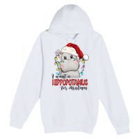 I Want A Hippopotamus For Christmas Xmas Hippo Lover Premium Pullover Hoodie