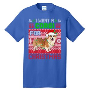 I Want A Corgi For Christmas Santa Dog Lover Owner Gift Tall T-Shirt