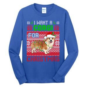 I Want A Corgi For Christmas Santa Dog Lover Owner Gift Tall Long Sleeve T-Shirt