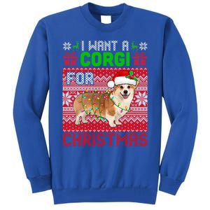 I Want A Corgi For Christmas Santa Dog Lover Owner Gift Tall Sweatshirt