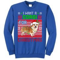 I Want A Corgi For Christmas Santa Dog Lover Owner Gift Tall Sweatshirt