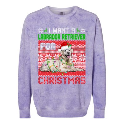 I Want A Labrador Retriever For Christmas Santa Dog Lover Funny Gift Colorblast Crewneck Sweatshirt