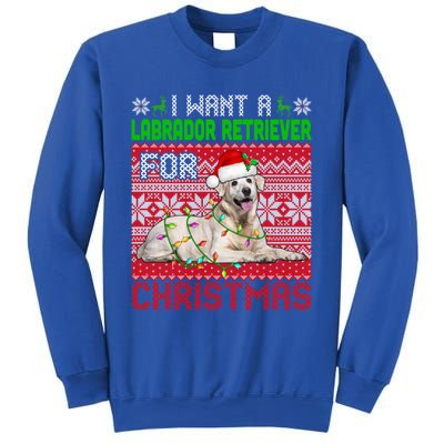 I Want A Labrador Retriever For Christmas Santa Dog Lover Funny Gift Sweatshirt