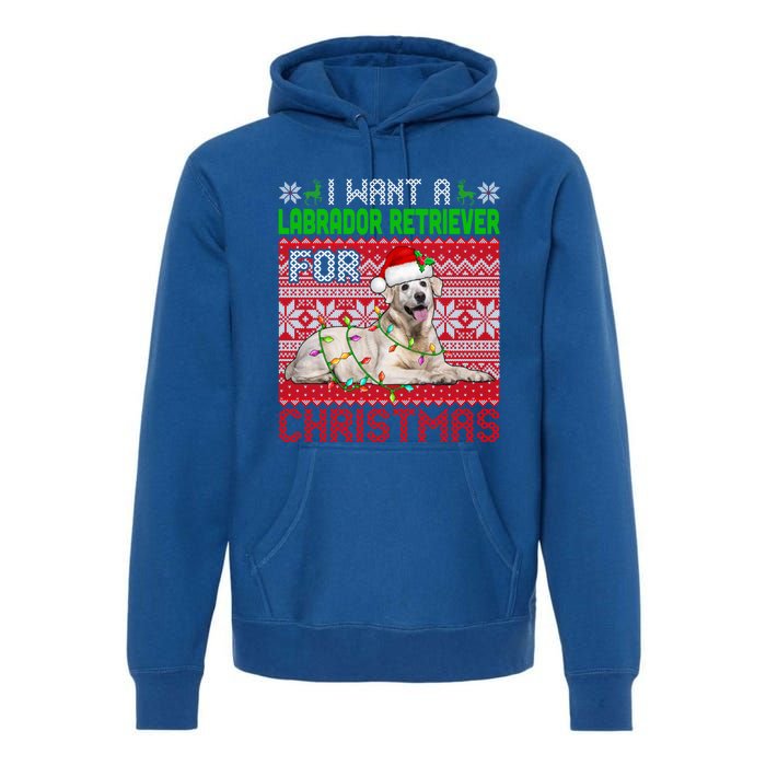 I Want A Labrador Retriever For Christmas Santa Dog Lover Funny Gift Premium Hoodie