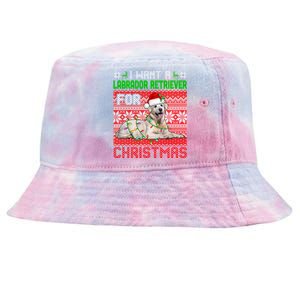 I Want A Labrador Retriever For Christmas Santa Dog Lover Funny Gift Tie-Dyed Bucket Hat