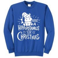 I Want A Hippopotamus For Christmas Xmas Hippo Gift Tall Sweatshirt