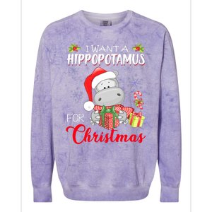 I Want A Hippopotamus For Christmas Cute Hippo  Colorblast Crewneck Sweatshirt