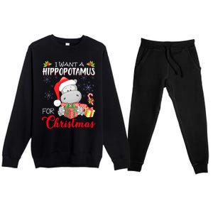 I Want A Hippopotamus For Christmas Cute Hippo  Premium Crewneck Sweatsuit Set