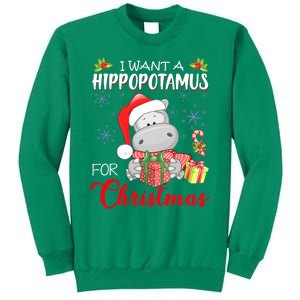 I Want A Hippopotamus For Christmas Cute Hippo  Sweatshirt