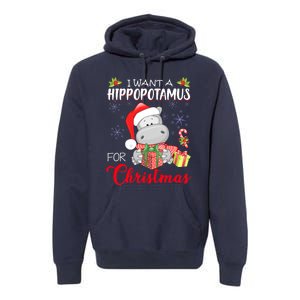 I Want A Hippopotamus For Christmas Cute Hippo  Premium Hoodie