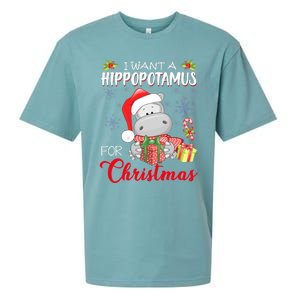 I Want A Hippopotamus For Christmas Cute Hippo  Sueded Cloud Jersey T-Shirt