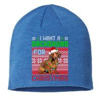 I Want A Dachshund For Christmas Santa Dog Lover Owner Funny Gift Sustainable Beanie