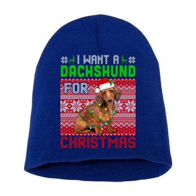 I Want A Dachshund For Christmas Santa Dog Lover Owner Funny Gift Short Acrylic Beanie