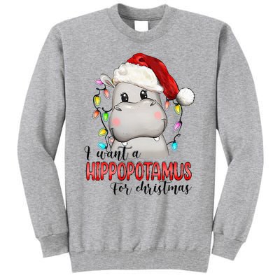 I Want A Hippopotamus For Christmas Xmas Hippo Lover Tall Sweatshirt