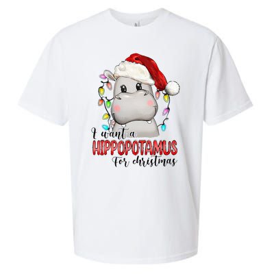 I Want A Hippopotamus For Christmas Xmas Hippo Lover Sueded Cloud Jersey T-Shirt