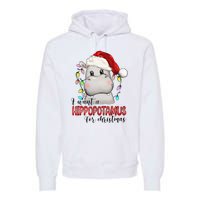 I Want A Hippopotamus For Christmas Xmas Hippo Lover Premium Hoodie