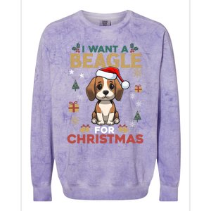 I Want A Beagle For Christmas Cute Dog Lover Family Pajama Gift Colorblast Crewneck Sweatshirt