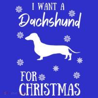 I Want A Dachshund For Christmas Weenie Dog Gift Tall T-Shirt
