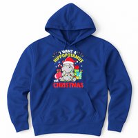 I Want A Hippopotamus For Christmas Hippo Christmas Pajamas Gift Hoodie