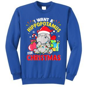 I Want A Hippopotamus For Christmas Hippo Christmas Pajamas Gift Sweatshirt